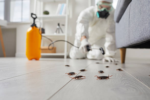 Post-Treatment Bed Bug Interceptor Monitoring in Macomb